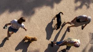 Gente paseando al perro en el parque de lEstació del Nord, en el barrio de Fort Pienc de Barcelona
