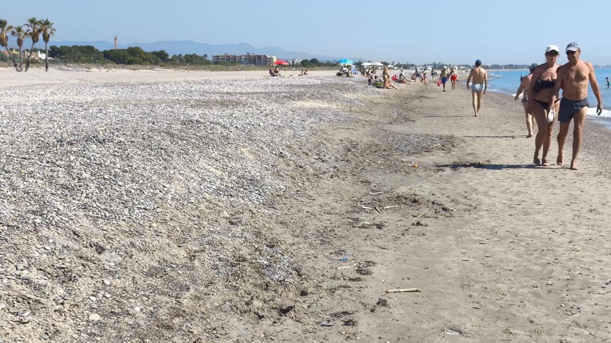Vista del estado de la playa de Canet con piedra.