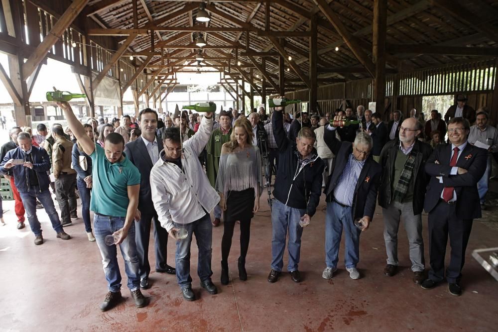 Presentación de la cosecha 2015 de sidra