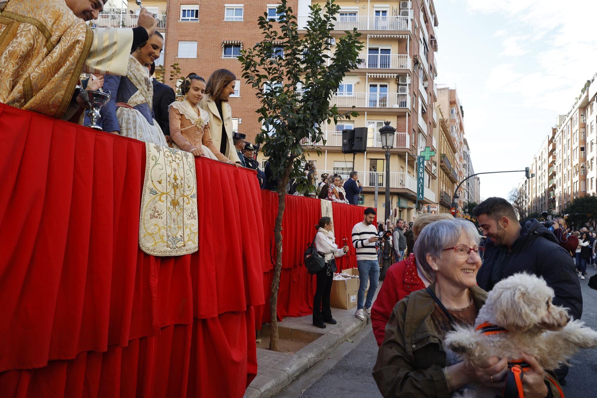 Búscate en la bendición de animales de Sant Antoni de València