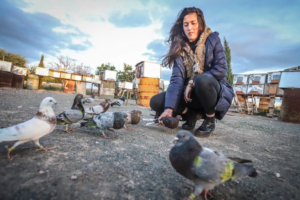 Albatera: Ana Cánovas es campeona nacional junior de colombicultura