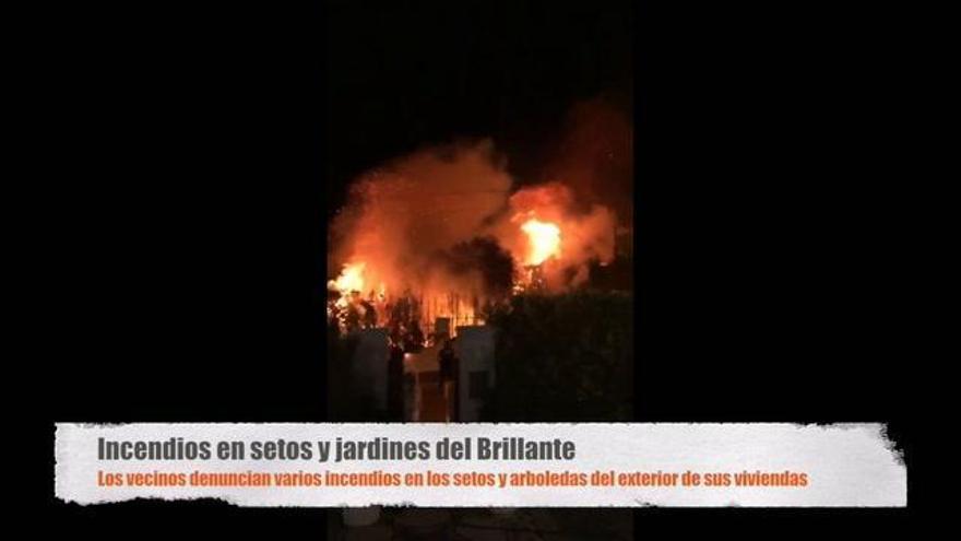 Torrico felicita a los Cuerpos y Fuerzas de Seguridad por el arresto del autor de los incendios del Brillante