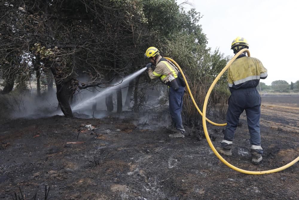 Incendi a la Bisbal