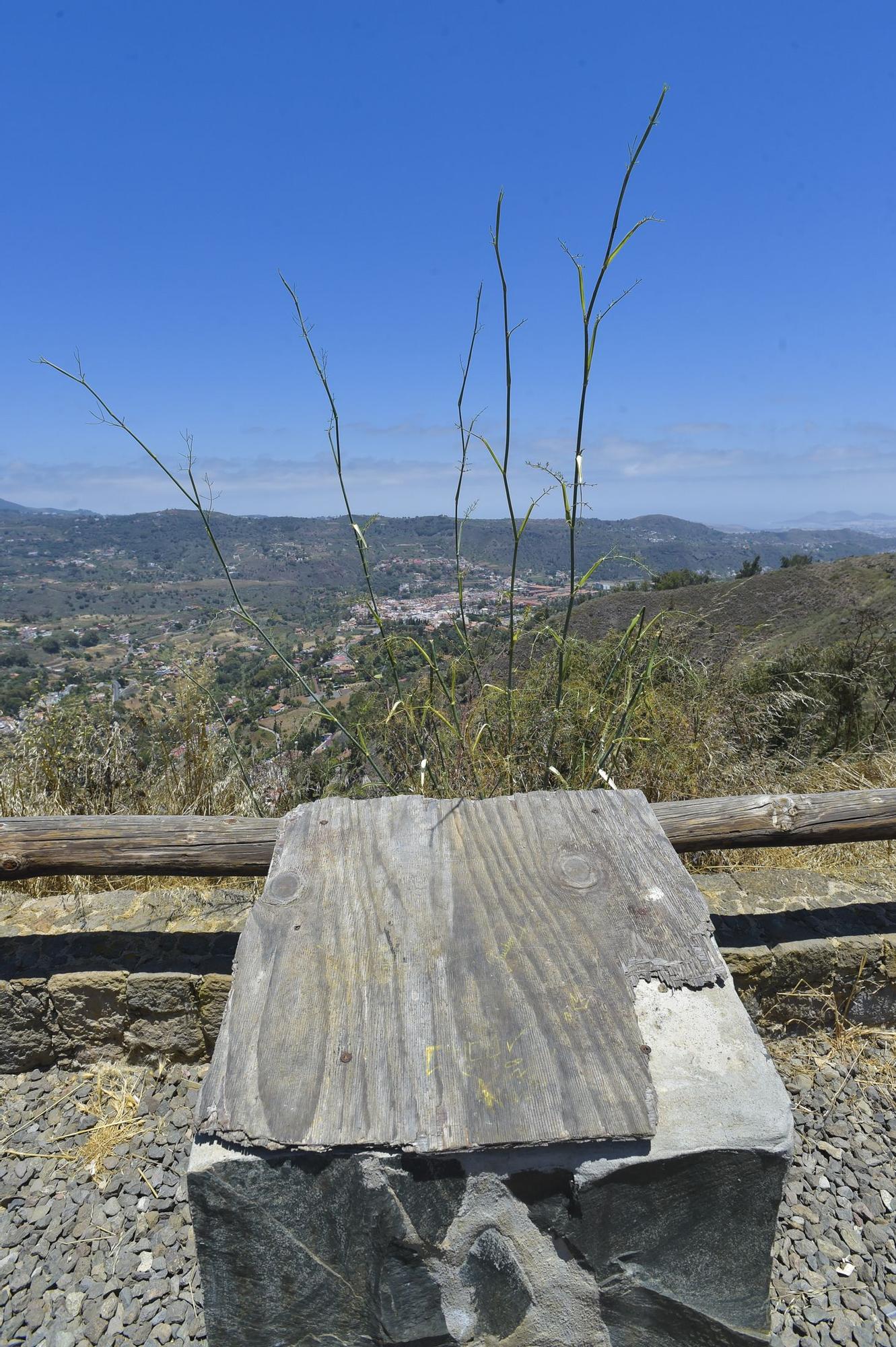 Miradores de Tres Piedras y La Concepción, en La Atalaya