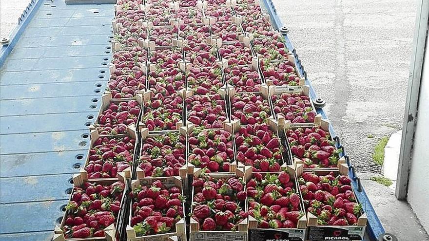 Requisan 420 kilos de fresas en el mercadillo