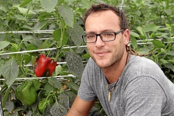 Ein Besuch bei Jaume Pou auf der Paprika-Plantage bei Inca.