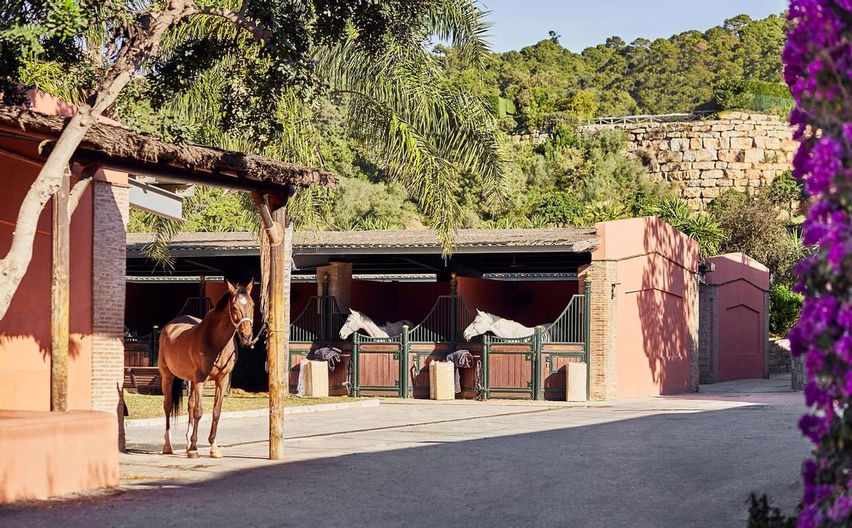 Imagen de las instalaciones hípicas del Marbella Club.