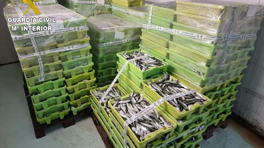 La Guardia Civil incauta 5.000 kilos de sardina en A Laxe