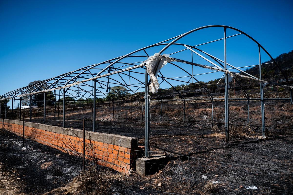 Fotogalería | Casas de Millán: un día después del incendio Fotogalería | Casas de Millán: un día después del incendio