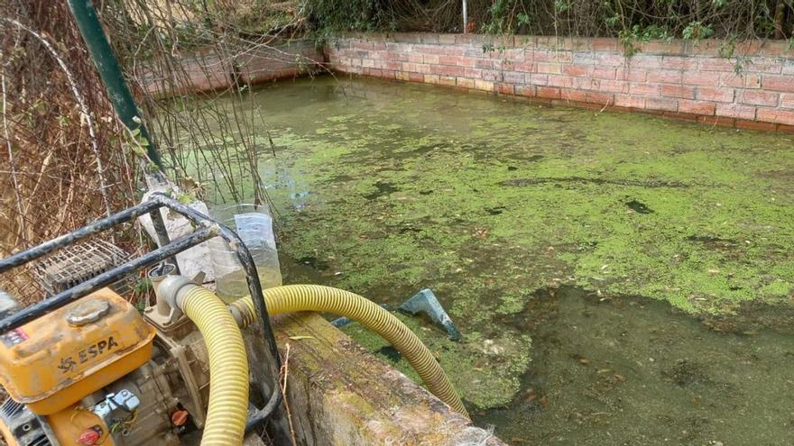 Un home llença el gos a una bassa amb un bloc lligat al coll a Sant Feliu de Guíxols