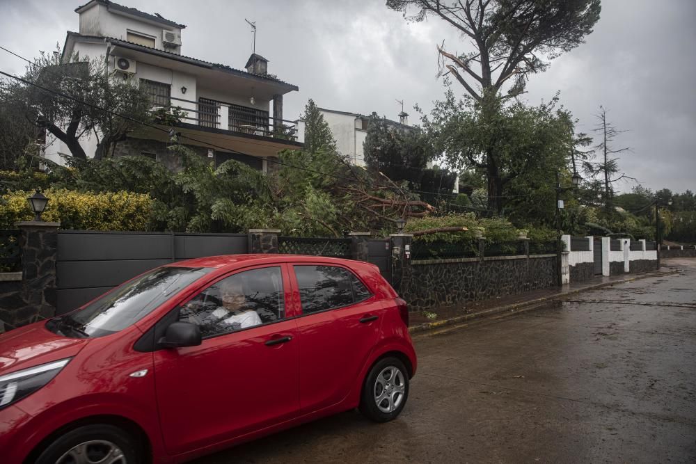 Destrosses a Riells i Viabrea per un tornado