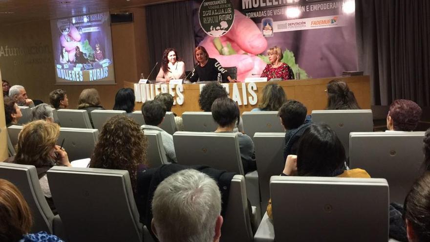 Carmela Silva, durante su intervención en las jornadas. / FdV