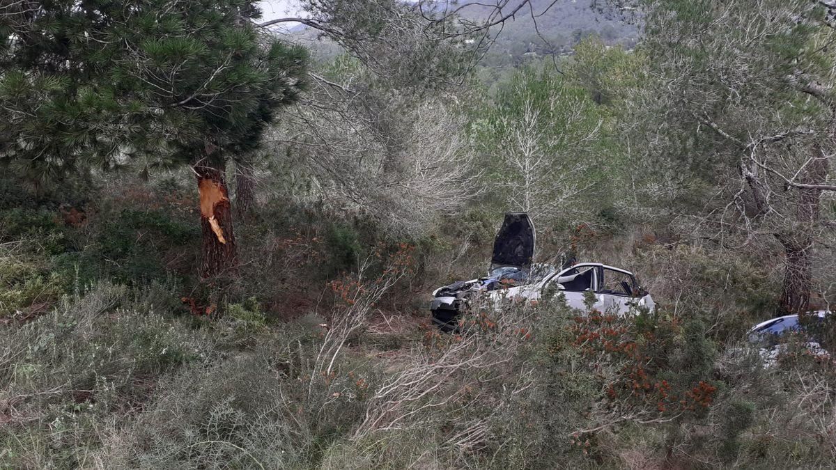 El coche se salió de la carretera, cayó por una pendiente y se estrelló contra un árbol.