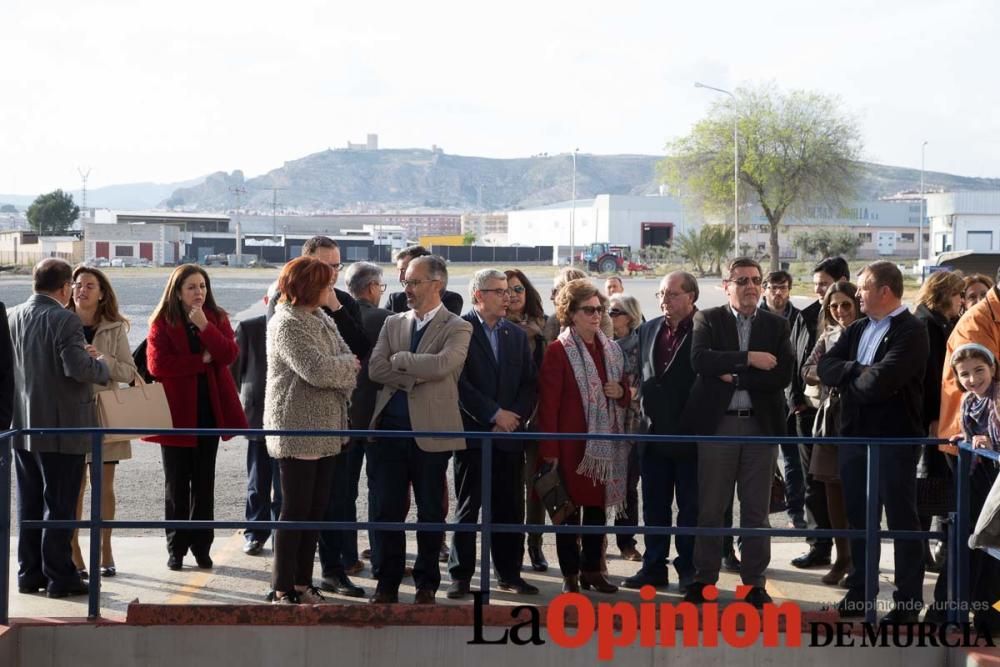 Bendición del vino en Jumilla