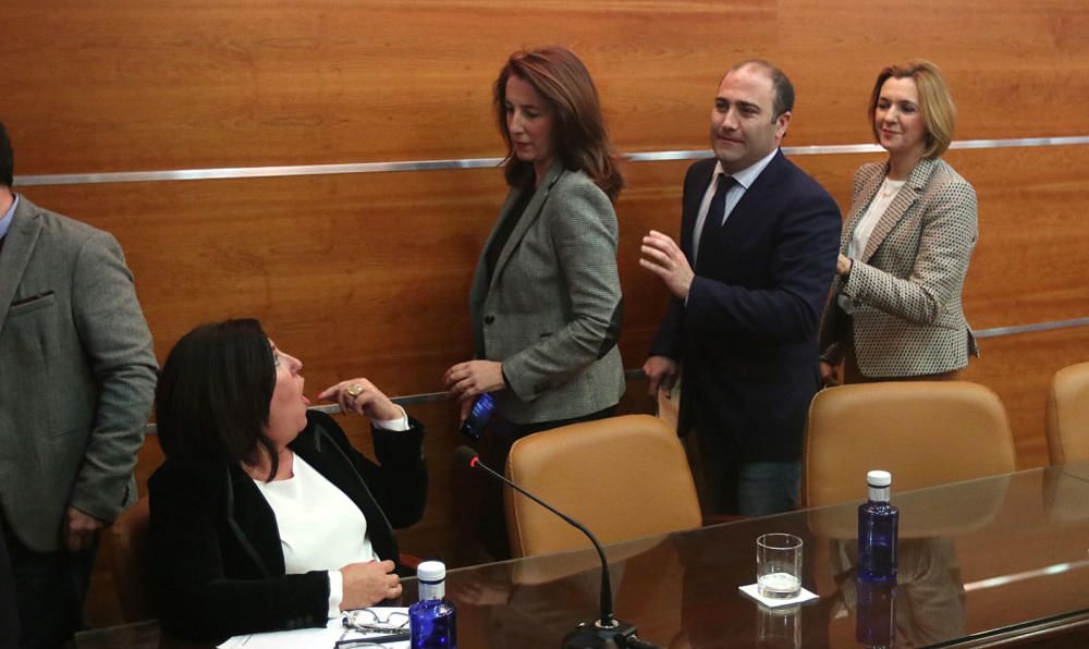 El pleno de Alhaurín el Grande no puede votar la moción de censura contra Antonia Ledesma por las discrepancias en la formación de la mesa de edad