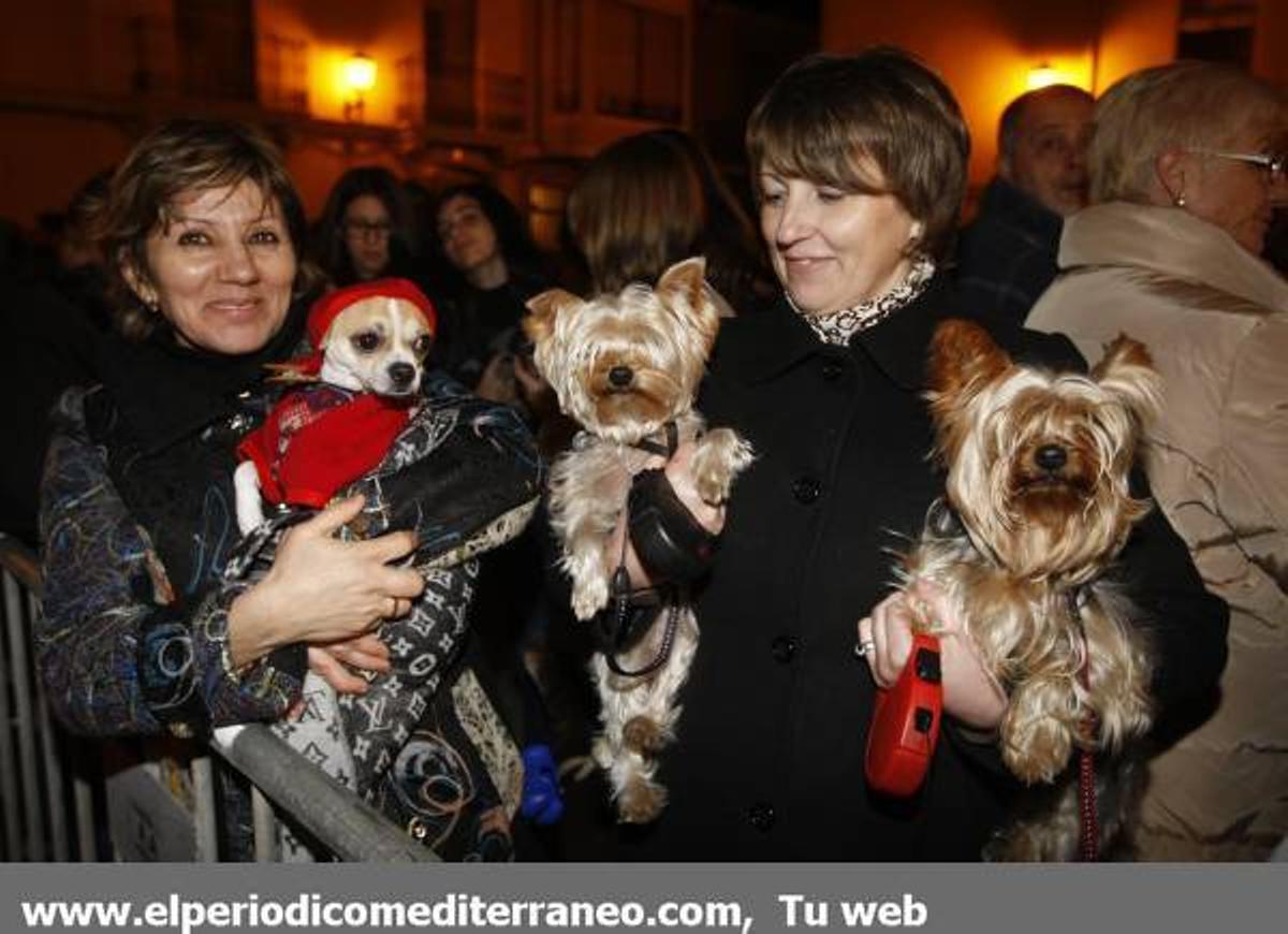 GALERÍA DE FOTOS - Matxa de Sant Antoni Alamassora