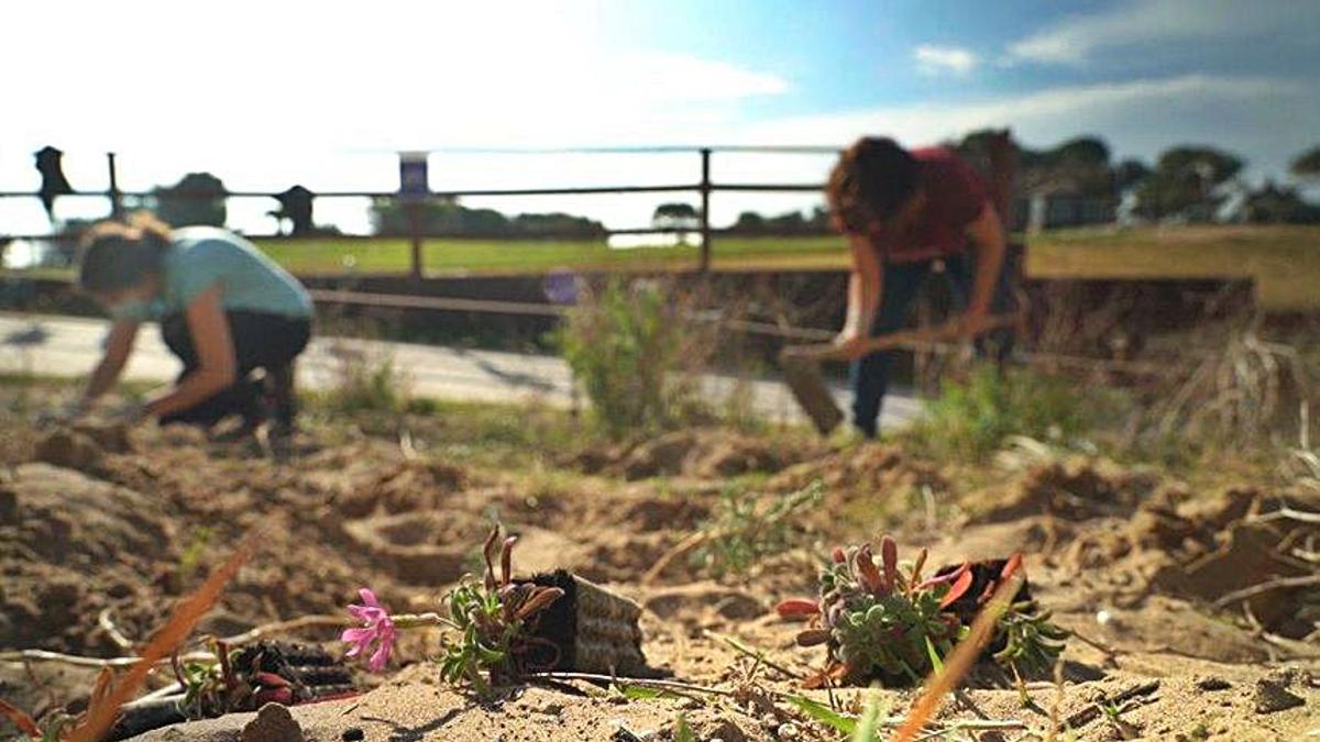 Un semillero para salvar las plantas en extinción