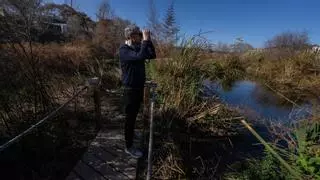 Nuevas lagunas y una futura isla: avanza la recuperación del Besòs, el futuro grifo de Barcelona