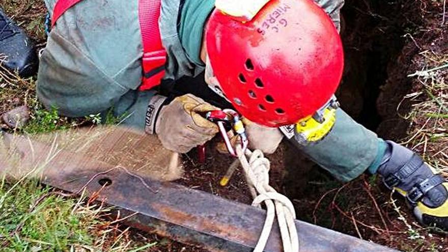 El rescate de un perro que cayó en un hoyo.