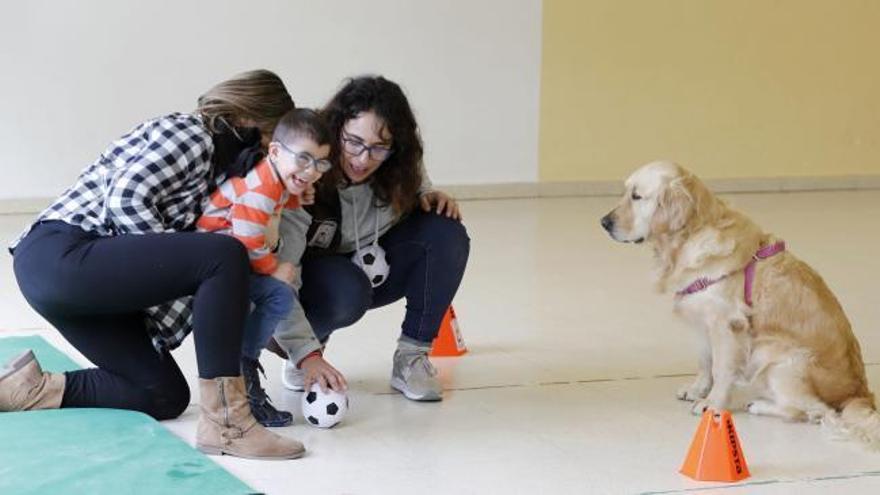 Terapia canina para educar en la inclusión