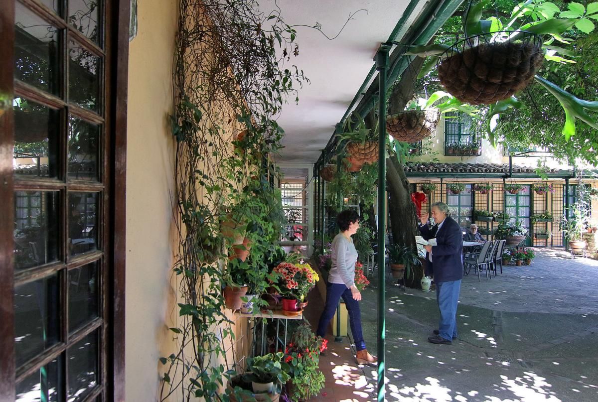 De patios por San Andrés y el Realejo