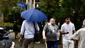 Pluges a Catalunya: el Meteocat activa avisos en aquestes comarques