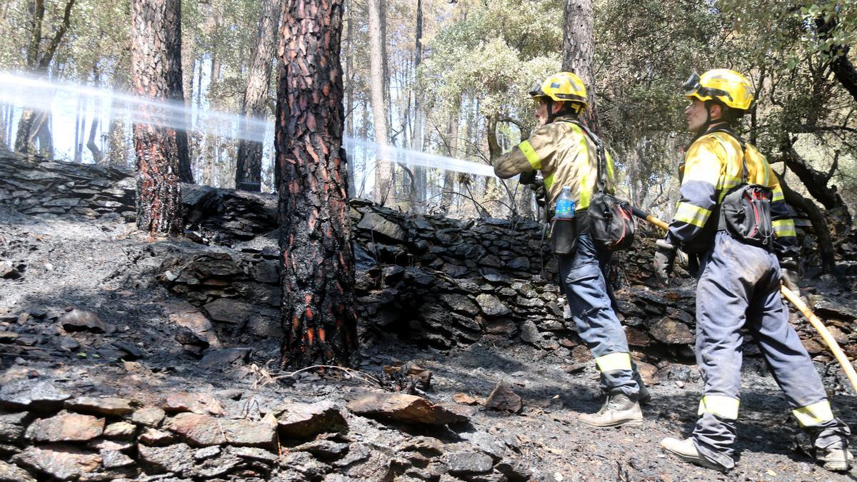 Dos Bombers a la zona calcinada per l&#039;incendi de les Gavarres