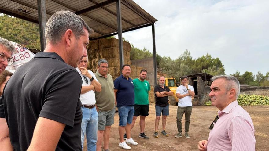 El Consell apuesta por la ganadería extensiva como la mejor defensa ante los incendios: "Es el cortafuegos más eficaz, barato y útil"