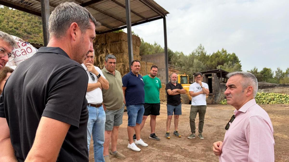 Declaraciones de Miguel Barrachina, el conseller de Agricultura, Agua, Ganadería y Pesca