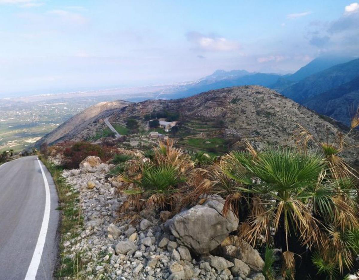 Las montañas de la Vall d’Ebo tras 4 meses: el verde ya borra las cenizas