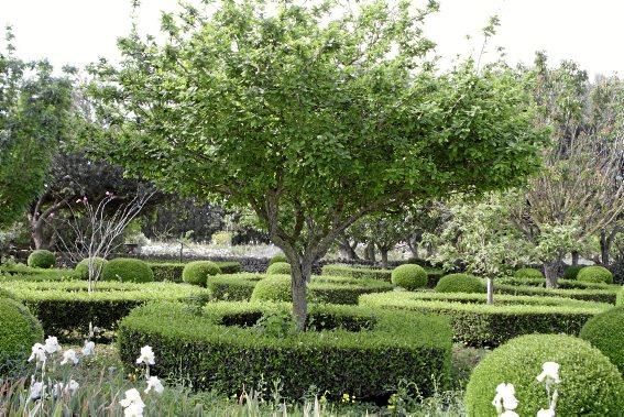 Der Garten von Gritli und Hans Liesenhoff zählt zu den beeindruckendsten Mallorcas. Er vereint Pfl anzenvielfalt und ornamentale Gestaltung mit Philosophie und Poesie.