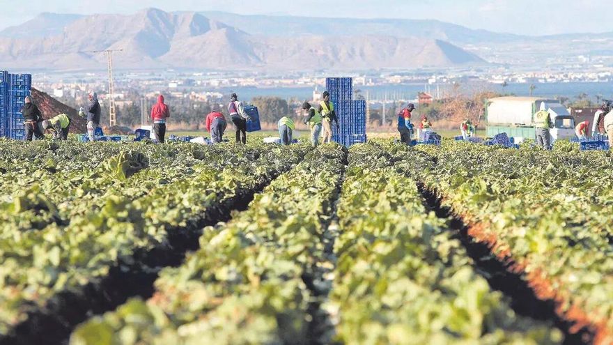 La Comunidad impulsa técnicas para optimizar el uso de fertilizantes agrícolas