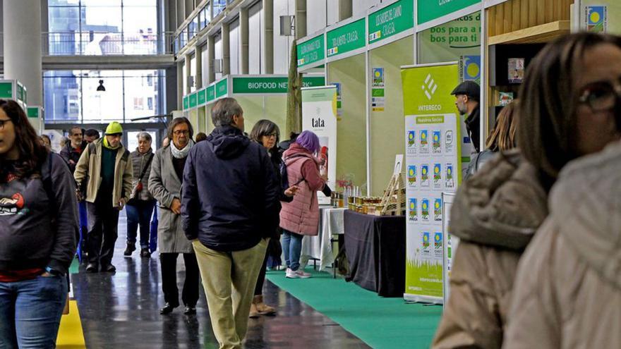 Puestos de la feria de Biocultura.   | // L. O.