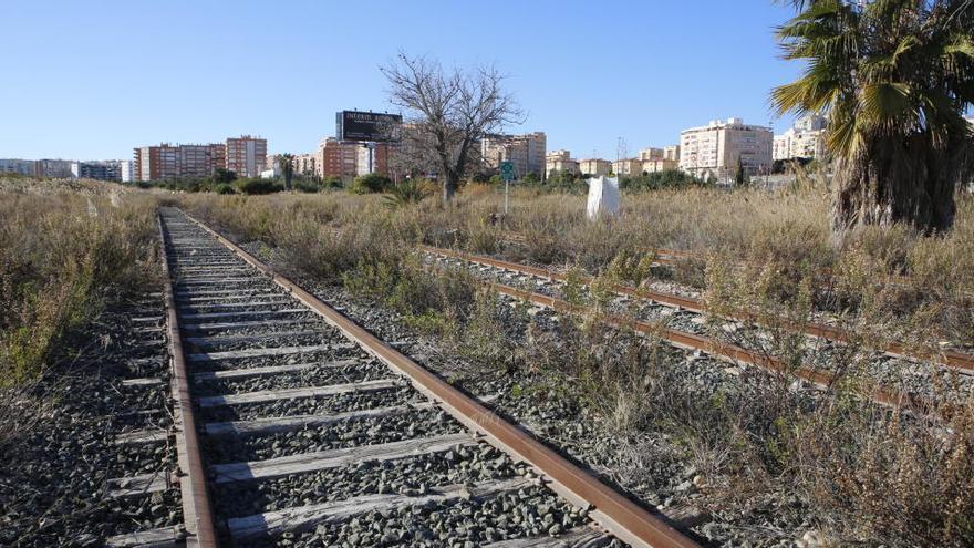 El Ayuntamiento de Alicante ofrecerá suelo para el apartadero de trenes de carga lejos de Casa Mediterráneo