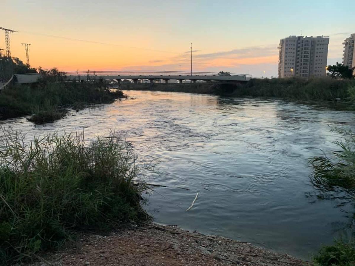 Gota fría en la Vega Baja: Los agricultores cifran en 550 millones las pérdidas en el campo de la provincia de Alicante