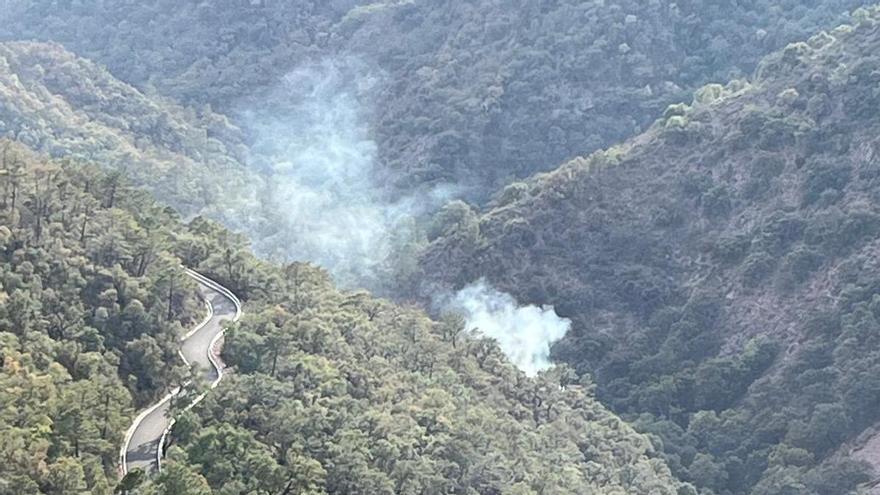 Imagen de la humareda que se divisa en el barranco donde ha empezado el incendio en Almedíjar.