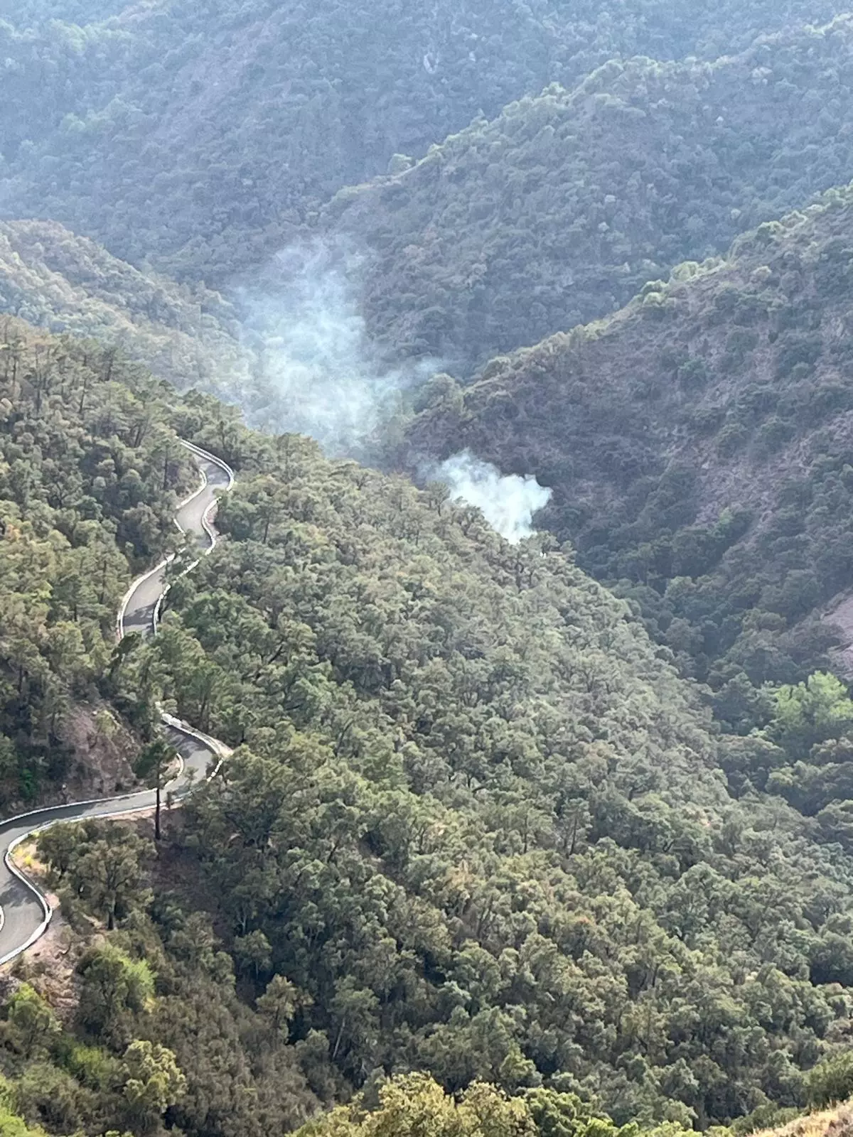 Alerta por un incendio forestal entre Almedíjar y Aín