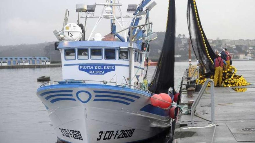 Marineros de cerco preparan las redes en el puerto de A Coruña.