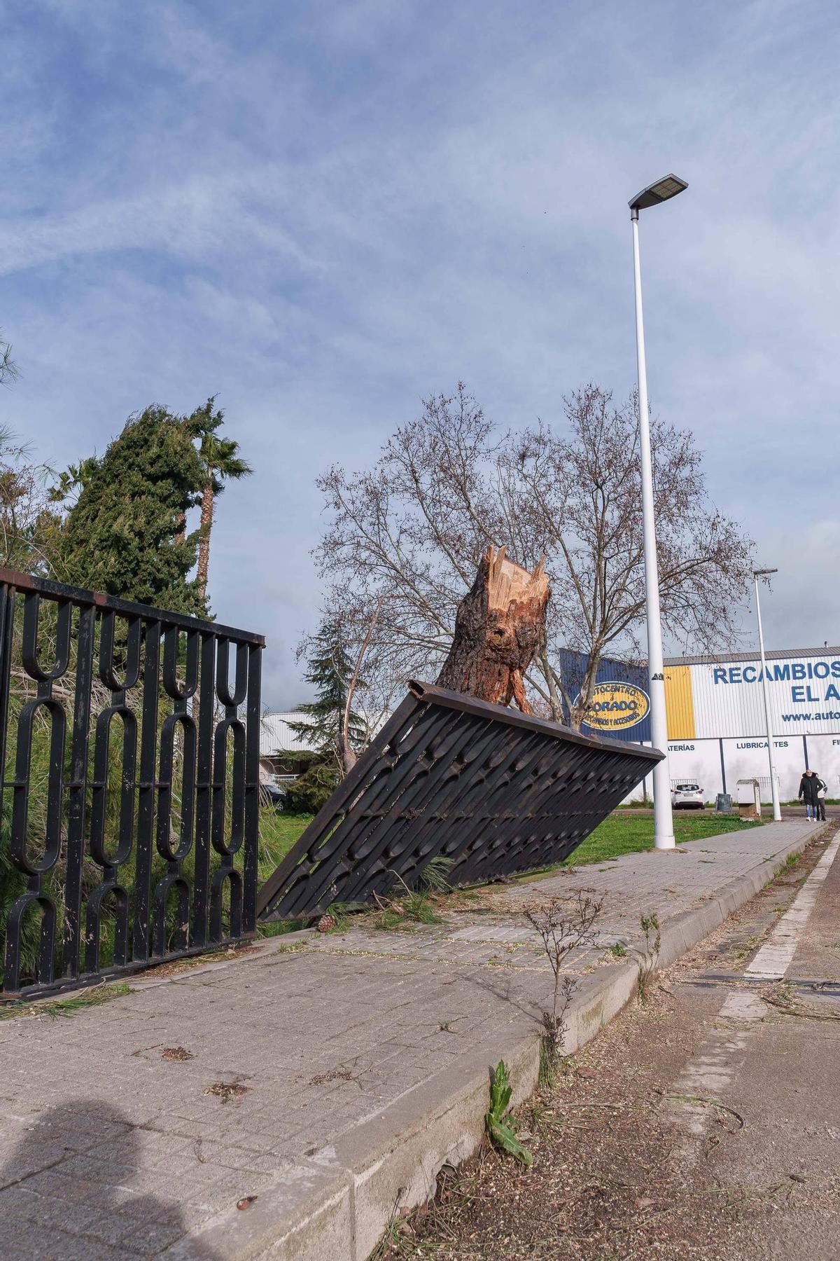 Daños causados por el vendaval.