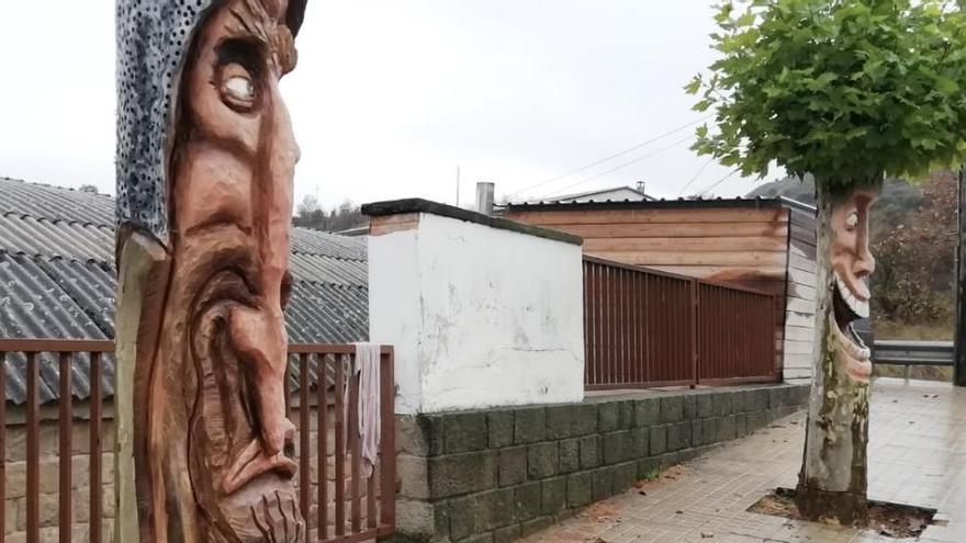 Plataners de l&#039;avinguda del Cardenal Tarancón de Solsona