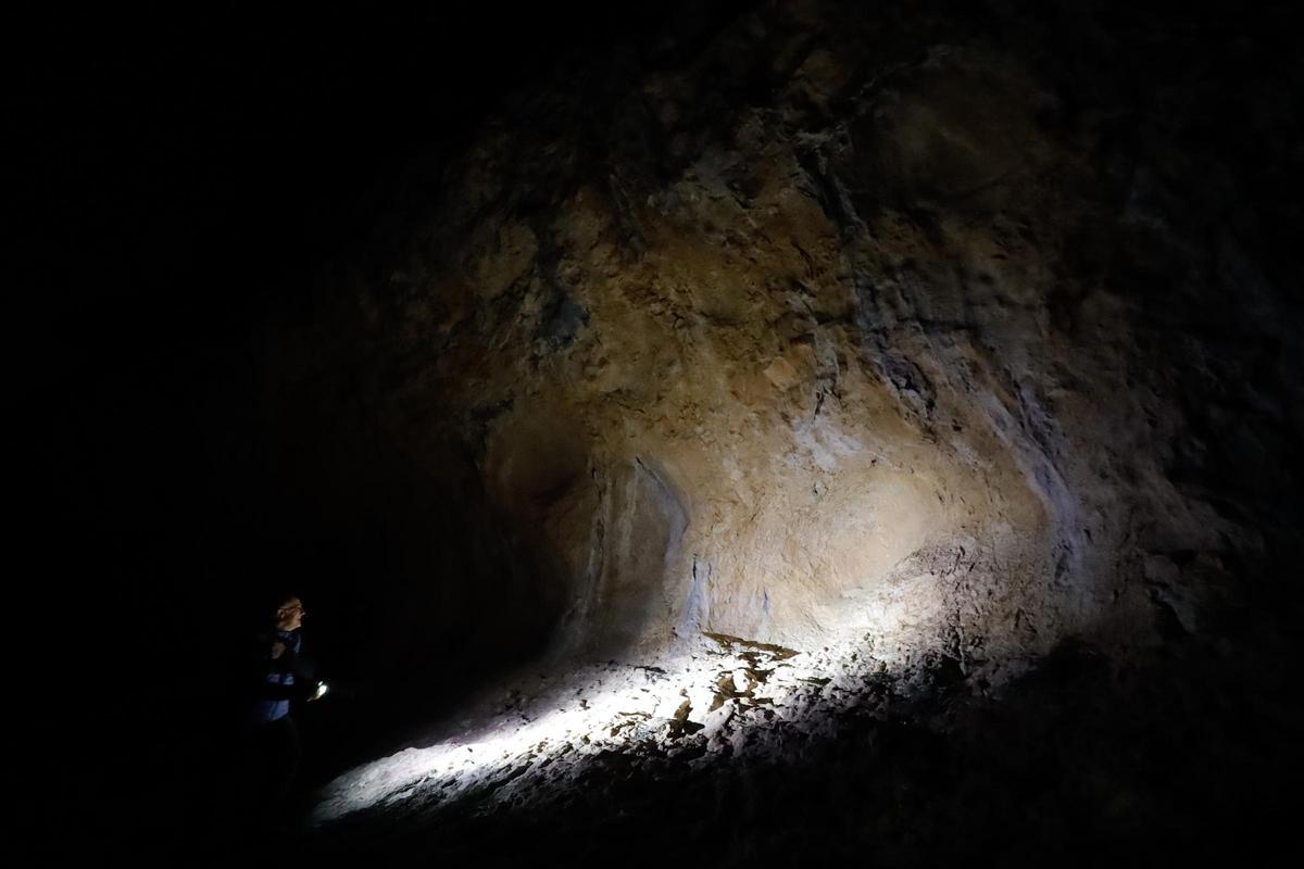 Imágenes de la visita nocturna a las pinturas rupestres de la Sarga