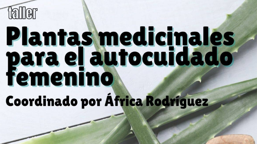 Taller plantas medicinales para el autocuidado femenino
