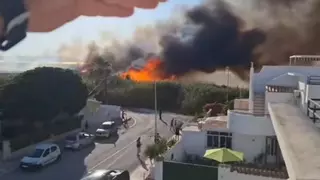 Un incendio de cañar se propaga hasta la masa forestal en el parque de Las Salinas de Torrevieja