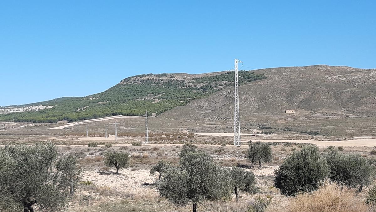 Las acciones realizadas suponen la continuación de una serie de inversiones efectuadas a lo largo de pasados ejercicios