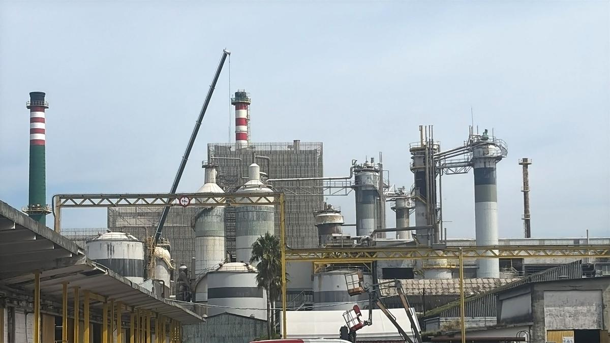 Fábrica de Ence en Pontevedra.