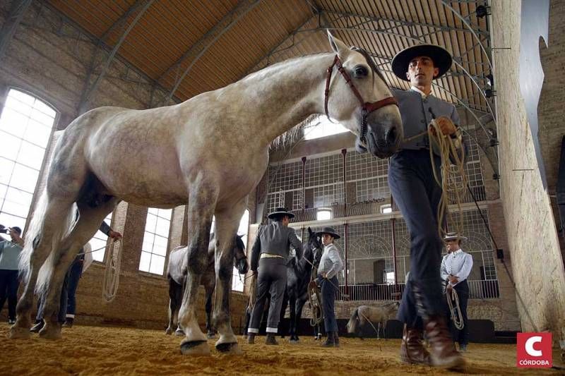 Calbacor 2014 abre sus puertas