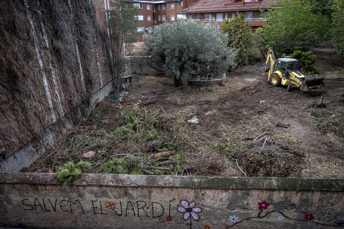 Tala en el jardín de la masía de Can Raventós en agosto de 2023, en el barrio de Sarrià, en Barcelona.