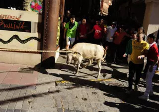 La Junta tendrá que resolver sobre la participación de menores en el Torito del Alba de Benavente de 2024