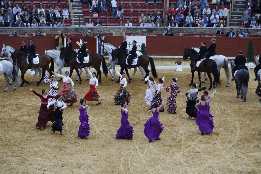 El mundo del caballo contra el cáncer