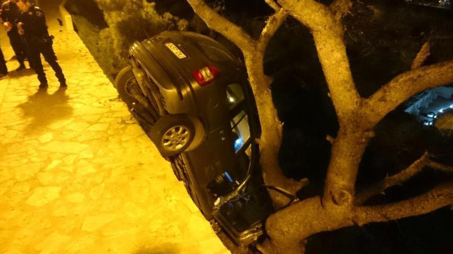 Un árbol evita que se precipite al vacío un coche desde el castillo de Cullera